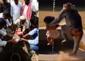 CG News : बंदर ने मां की गोद से छीनकर नवजात को कुएं में फेंका, फिर हुआ ये चमत्कार