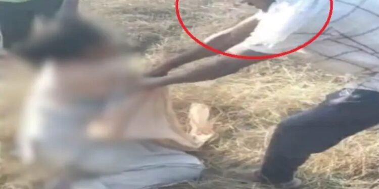 CG Viral Video : तमनार हिंसा में महिला आरक्षक से दरिंदगी का वीडियों आया सामने, भीड़ ने दौड़ाकर खेत में घसीटा …. वर्दी फाड़कर किया अर्धनग्न देखे वीडियो