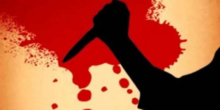 CG Crime : दिनदहाड़े मर्डर से हड़कंप, बदमाशों ने दौड़ा-दौड़ाकर युवक पर किया जानलेवा हमला …. सड़क पर तोड़ा दम