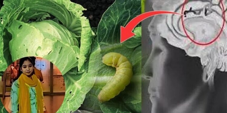 Fast Food Death : फास्ट फूड बना जानलेवा, 18 साल की छात्रा की मौत से मचा हड़कंप”