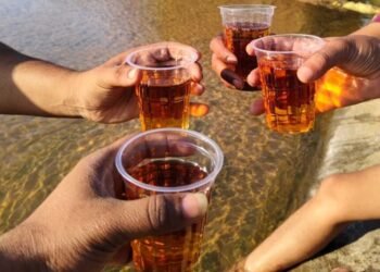 CG News : इस गांव में शराब पीने और गाली-गलौज करने पर लगेगा 5100 रुपए जुर्माना, बताने वाले को 2100 रुपए