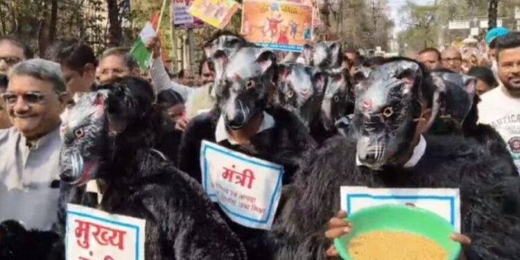 छत्तीसगढ़ में धान घोटाले को लेकर कांग्रेस का जोरदार प्रदर्शन, भाजपा सरकार के खिलाफ निकाली ‘मुसवा बारात