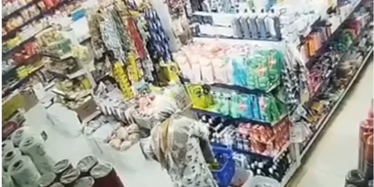 CG News : सी – मार्ट में शॉपिंग करने घुसी महिला, कपड़े के अंदर छुपाने लगी सामान, CCTV वीडियो वायरल होने से मचा हड़कंप