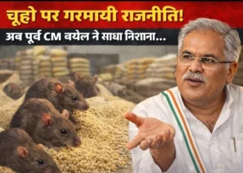 CG : छत्तीसगढ़ में “चूहों” पर गरमायी सियासत, पूर्व CM बघेल ने सरकार से पूछा …. ”क्या ये नागपुर के चूहे हैं या फिर गुजरात से आए हैं