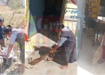 CG Viral Video:  शिक्षा के मंदिर में मजदूरी; क्लास में पढ़ाई की जगह बच्चों से फिकवाया जा रहा कचरा, देखे पूरा वीडियो
