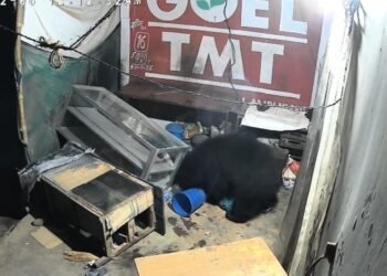 CG Viral Video : मौत की दस्तक अहाते में सोते युवक के पास पहुंचा खूंखार भालू, 4 मिनट तक थमी रहीं सांसें, देखें पुरा वीडियो