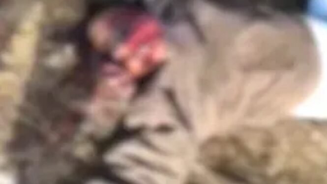 Crime News : बेवफा पत्नी की खूनी साजिश, प्रेमी के साथ मिलकर पति को उतारा मौत के घाट, ऐसे खुला मौत का राज़