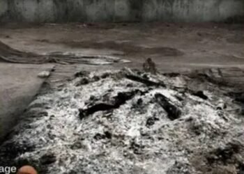 CG News : श्मशान घाट में सनसनी शव के चिता से सिर गायब, आसपास मिले …. चीज अस्थि लेने पहुंचे परिजनों के उड़े होश