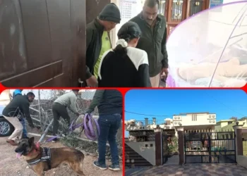 CG Crime : कोरबा में SBI के चीफ मैनेजर के घर लाखों की चोरी, शातिर चोरों ने कैश छोड़ …. ज्वेलरी पर किया हाथ साफ