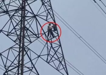 CG News : हाईटेंशन बिजली के टावर पर चढ़ा ग्रामीण, जमीन कब्जा करने का लगाया आरोप, लाउडस्पीकर लेकर पहुंचे प्रशासन के अधिकारी