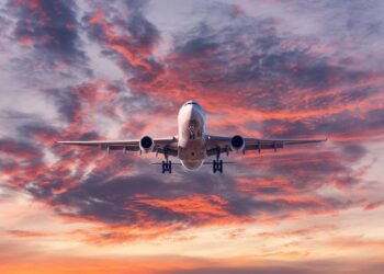 फ्लाइट के टॉयलेट में शर्मनाक हरकत करने लगा यात्री, करतूत देख क्रू भी रह गया हैरान, लैंडिंग होते ही किया पुलिस के हवाले