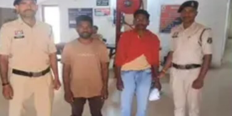 CG News : इस जिले में अफीम की एक और खेती का मामला आया सामने, इतने करोड़ की फसल को पुलिस ने किया जब्त, दो आरोपी गिरफ्तार