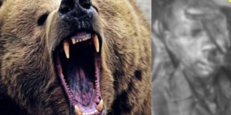 CG Breaking : जंगल में खूनी हमला भालू ने ग्रामीण को किया लहूलुहान