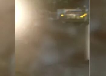 CG Road Accident : रफ्तार का कहर 12 बेजुबान गायों को हाईवा ने कुचला, की मौत ग्रामीणों में भारी आक्रोश