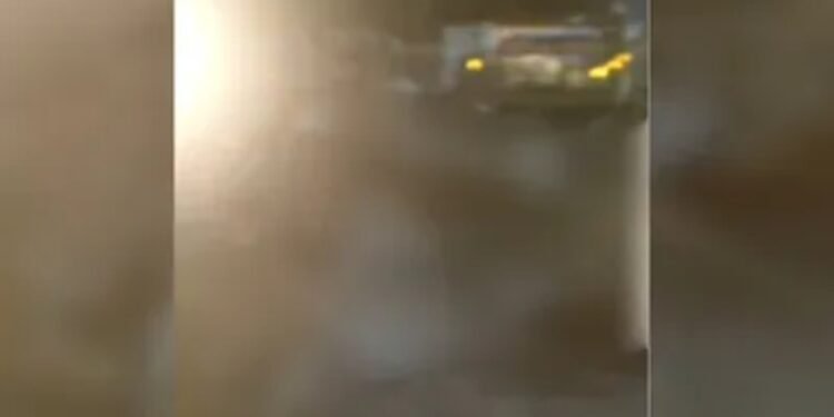 CG Road Accident : रफ्तार का कहर 12 बेजुबान गायों को हाईवा ने कुचला, की मौत ग्रामीणों में भारी आक्रोश