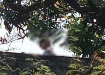 CG Suicide News : 9वीं के छात्र की आम के पेड़ से लटकी मिली लाश