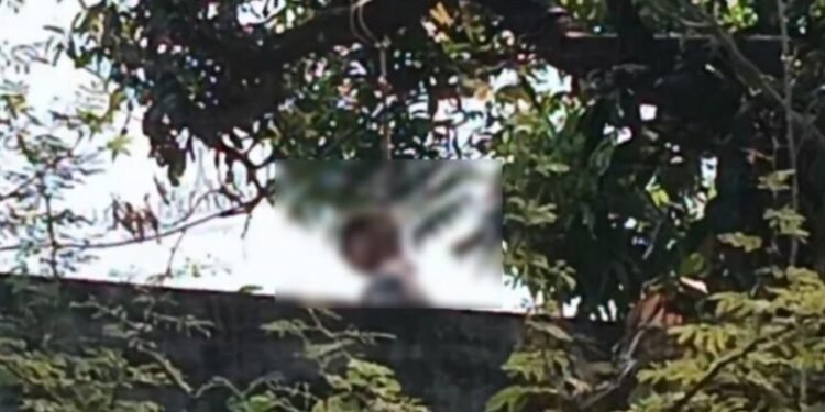 CG Suicide News : 9वीं के छात्र की आम के पेड़ से लटकी मिली लाश