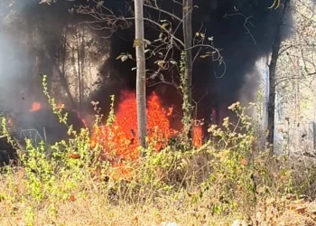 Korba : मेडिकल कॉलेज परिसर में आग का तांडव कबाड़ वाहनों में लगी आग, देर से पहुंची फायर ब्रिगेड, कई गाड़ियां जलकर खाक