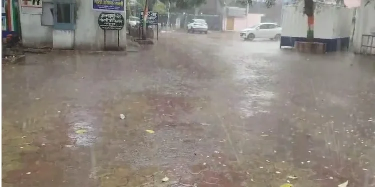 CG Weather Update Today : बिलासपुर, कोरबा सहित 10 जिलों में कुछ देर में तेज बारिश, आरेंज अलर्ट हुआ जारी