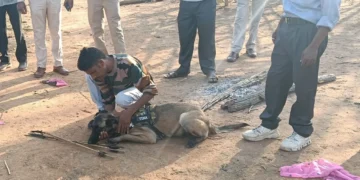 CG News : नीलगाय का शिकार, जंगल में पड़ा मिला शव, फिर डॉग स्कॉड की मदद से ऐसे अरेस्ट हुआ शिकारी, DFO ने कहा  …