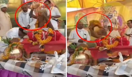 बाबा ने कर दी भाजपा विधायक की सरेआम बेइज्जती आशीर्वाद लेने पहुंचे तो मारा मुक्का, पहनाई फूलों की माला तो घुमाकर फेंका, देखें पूरा वीडियो