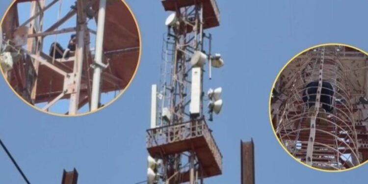 CG Viral Video : पत्नी से बिछड़ने के गम में युवक ने उठाया ये कदम, देखें वायरल वीडियो