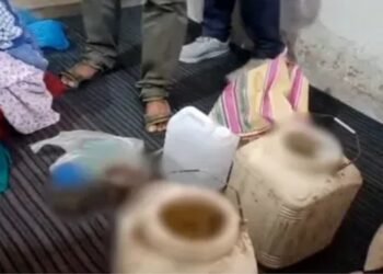 घर के अंदर सड़ रहे थे 795 कुत्तों के अंग नसबंदी के नाम पर रूह कपा देने वाला फर्जीवाड़ा, ऐसे हड़पने वाले थे सरकारी पैसा