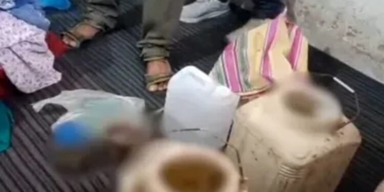 घर के अंदर सड़ रहे थे 795 कुत्तों के अंग नसबंदी के नाम पर रूह कपा देने वाला फर्जीवाड़ा, ऐसे हड़पने वाले थे सरकारी पैसा