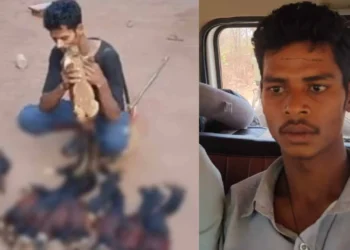 CG Viral Video : दुर्लभ प्रजाति की गिलहरियों को मारा, फिर नक्सली हिड़मा के गाने पर Reel बनाकर इंस्टाग्राम पर डाला, शिकारी गिरफ्तार