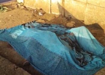 CG Crime : मंदिर के पास बुजुर्ग महिला की पत्थर से कुचलकर हत्या, खून से लथपथ शव मिलने से मचा हड़कंप