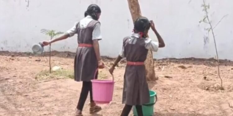 CG Viral Video : प्राथमिक शाला में बच्चों से ढुलवाया जा रहा पानी, वीडियो वायरल, जिम्मेदारों पर उठे सवाल देखे पूरा वीडियो