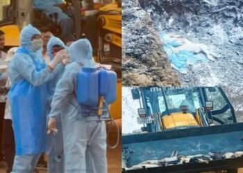 CG News : छत्तीसगढ़ में अफ्रीकन स्वाइन फीवर की पुष्टि, तड़प – तड़पकर 300 से अधिक सूअरों की मौत, मांस नहीं खाने की सलाह