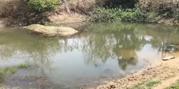 CG News : खेलते – खेलते गायब हुए दो बच्चे, फिर इस हालत में मिली दोनों की लाश…