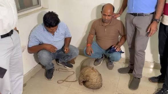 CG: जिंदा पैंगोलिन के साथ 2 तस्कर गिरफ्तार, 50 करोड़ में सौदा करने पखांजूर से लाए थे रायपुर