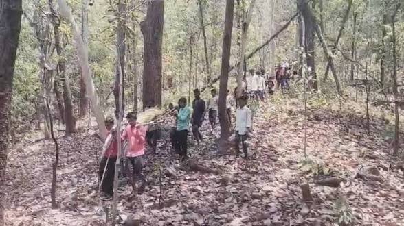 CG: महुआ बीनने गए ग्रामीण पर हाथी का हमला , हुई दर्दनाक मौत