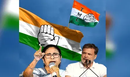 बीजेपी की जीत नहीं पचा पा रहे विपक्ष के दिग्गज! ममता के बाद अब इस नेता ने भी खोला मोर्चा, कहा-चुनाव चोरी, संस्था चोरी