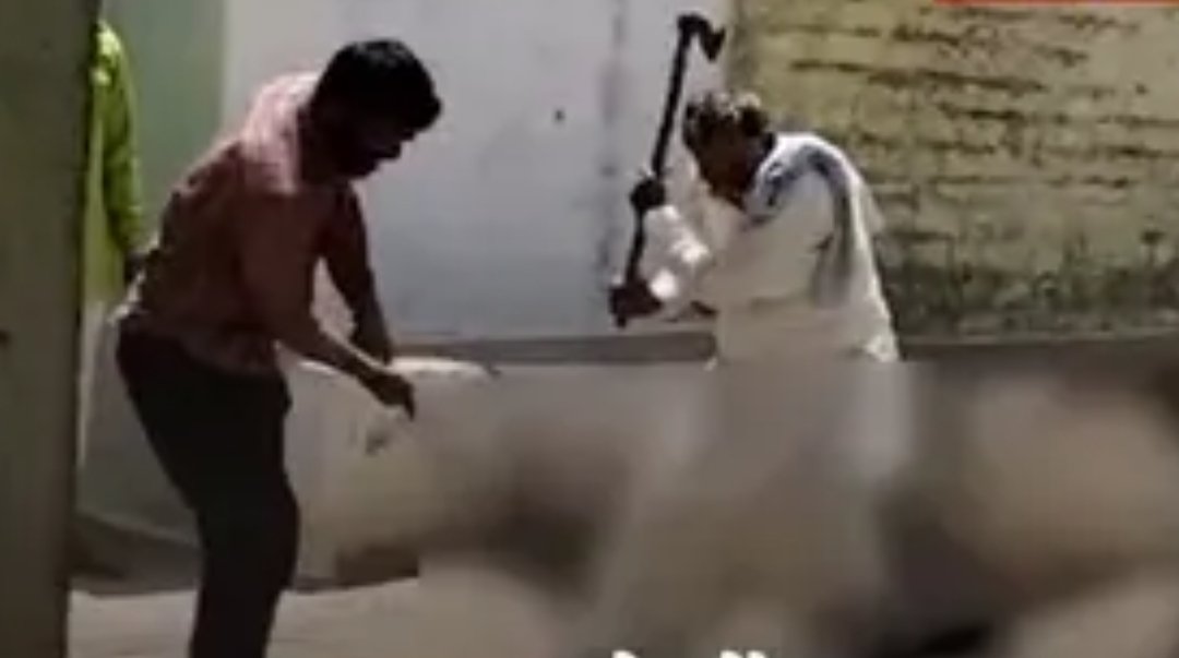 जनगणना करने गए कोटवार पर हमला, इस बात पर लोगों ने लाठी-डंडे और कुल्हाड़ी से की बेरहमी से पिटाई, वीडियो देख दहल जाएगा दिल