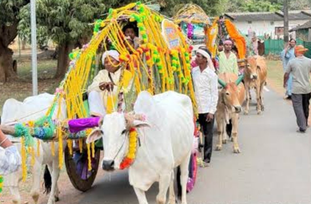 पेट्रोल – डीजल संकट के बीच बैलगाड़ी से निकलेगी छत्तीसगढ़ के भाजपा विधायक की बारात, मंत्री ही नहीं सीएम साय भी होंगे शामिल