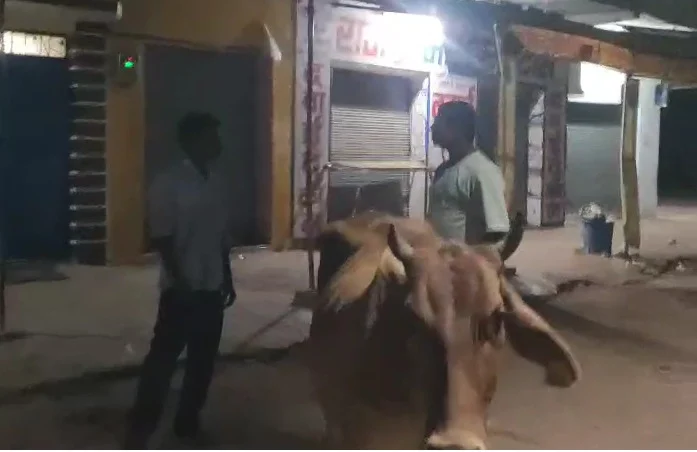 CG Crime : गाय से ही …. आधी रात … बीच बाजार में एक हवशी गौवंश के साथ कर रहा था दरिदंगी, लोगों ने मौके पर पकड़ा …