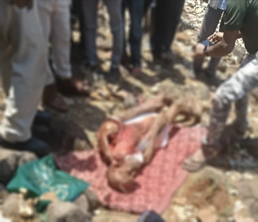 CG Breaking : तेंदुए ने घर से बुजुर्ग को घसीट ले गया, जंगल में मिली लाश, गांव में दहशत का माहौल