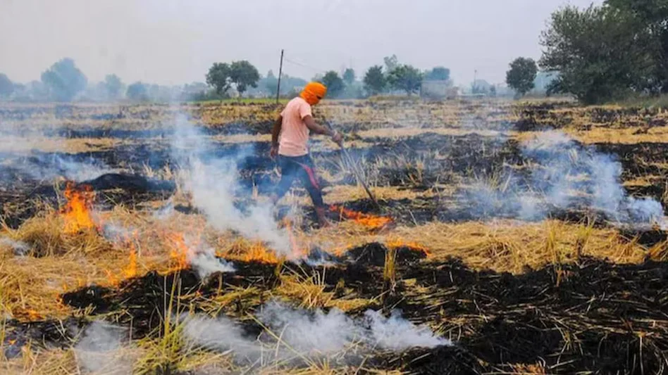 CG News : खेतों में पराली जलाना पड़ा महंगा, NGT के तहत सभी पर लगा जुर्माना, वसूली के लिए नोटिस ….