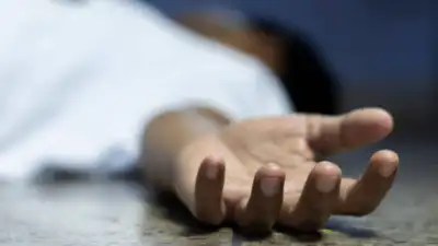CG Breaking : शेरनी के हमले में युवक की मौत, इलाके में दहशत का माहौल