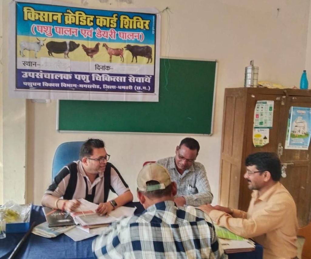 ग्रामीण आजीविका को मिली नई उड़ान पशुपालन केसीसी से धमतरी के 93 पशुपालकों को मिली 98.62 लाख की वित्तीय संजीवनी