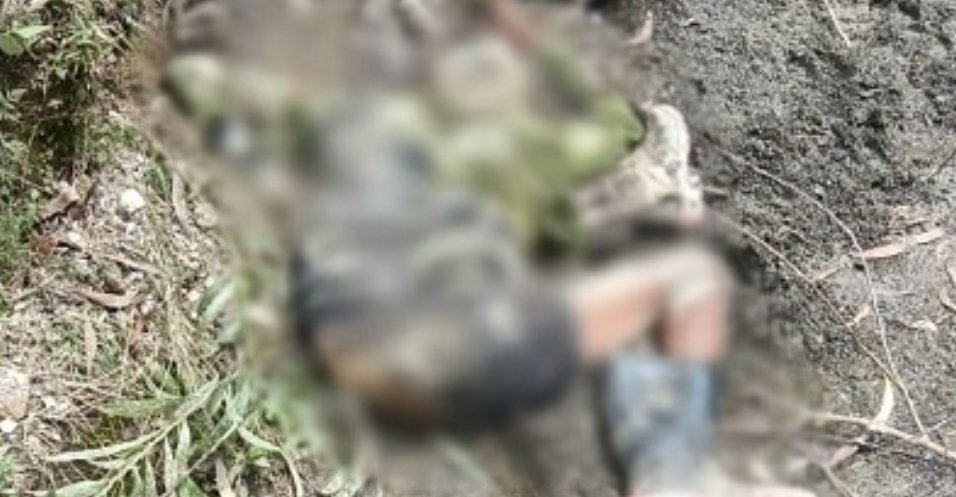 CG : जंगल में भैंस चरा रहा था, अचानक नर हाथी ने किया हमला ग्रामीण की मौके पर ही मौत