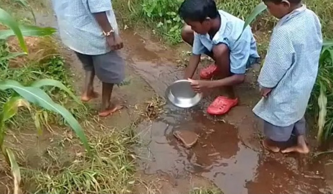 CG : मासूमों की सेहत से खिलवाड़ स्कूल का हैंडपंप खराब बच्चे पी रहे गंदा पानी