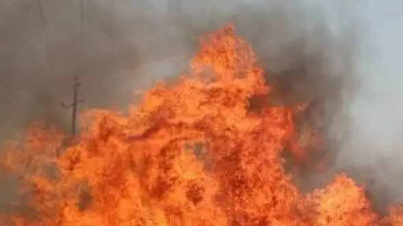 नशेड़ी बेटे ने उठाया खौफनाक कदम, मां को LPG गैस से लगा दी आग, ये है पूरा मामला