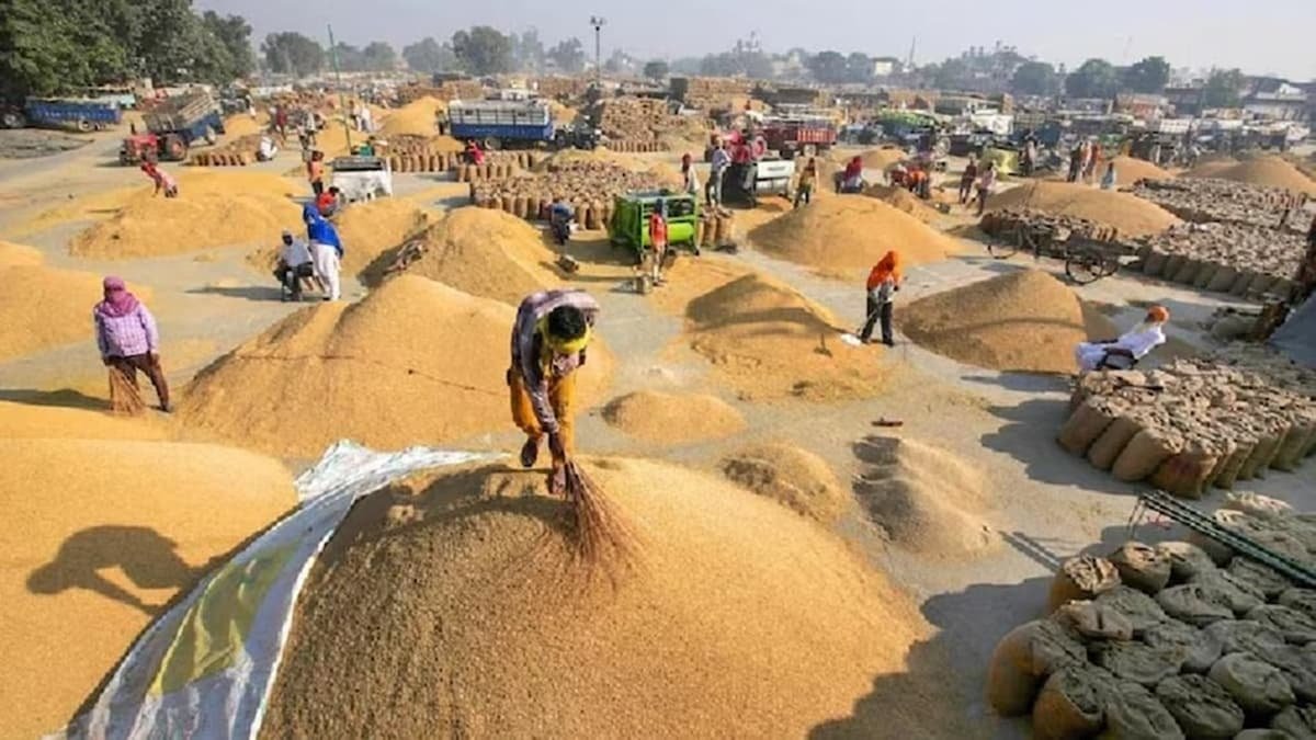 धान बेचने के लिए अब सोसायटियों में लंबी कतारों की जरूरत नहीं, ‘तुंहर टोकन’ एप से घर बैठे मिलेगा टोकन